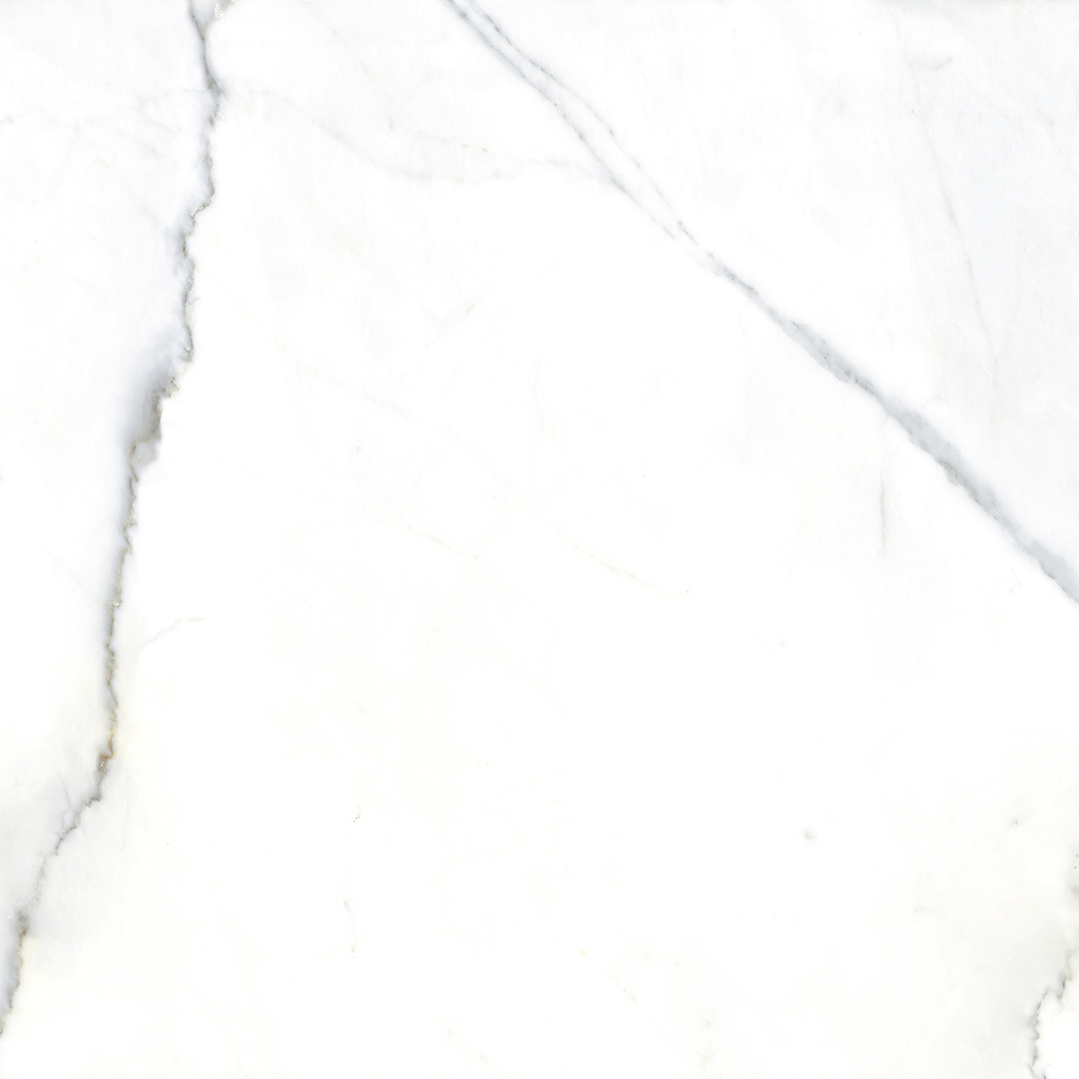 Porcelanato Delta Calacata Ice Polido 84×84